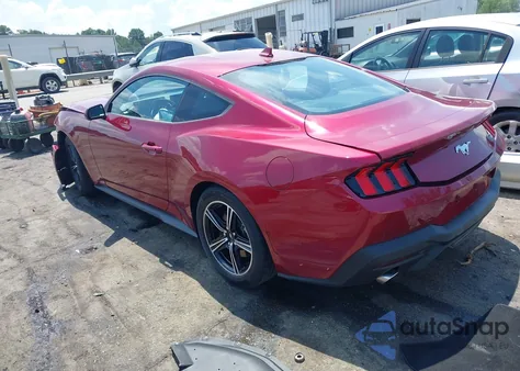 2025 Ford Mustang Ecoboost Fastback z USA, uszkodzony, nr VIN 1FA6P8TH1S5120519